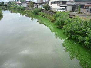 画像 : 馬踏橋上流側の写真