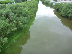 画像 : 馬踏橋下流側 レベル３の写真