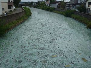 画像 : 馬踏橋（馬踏川大橋の上流）上流側の写真