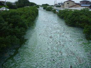 画像 : 馬踏橋（馬踏川大橋の上流）下流側 レベル６の写真