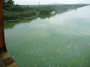 画像 : 馬踏川大橋下流側 レベル５の写真