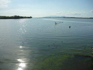 画像 : 馬場目川河口の写真