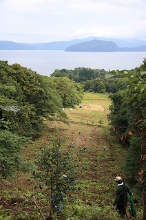 写真：斜面上方より十和田湖を望む