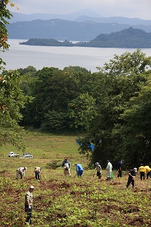 写真：急斜面上方より十和田湖を望む