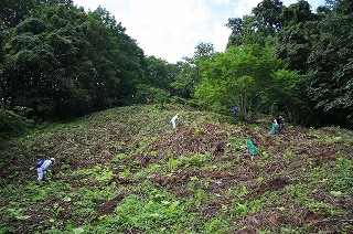 写真：最奥急斜面植樹