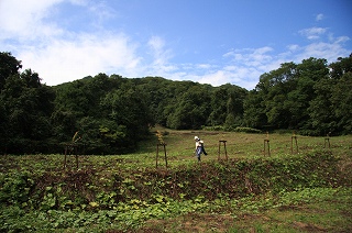 写真：植樹後