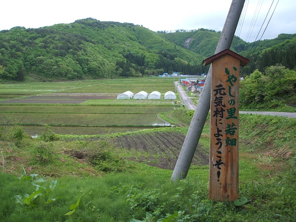 写真：農山村生活体験