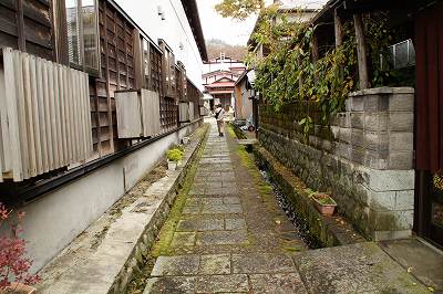 写真：小径と水路が張り巡らされています