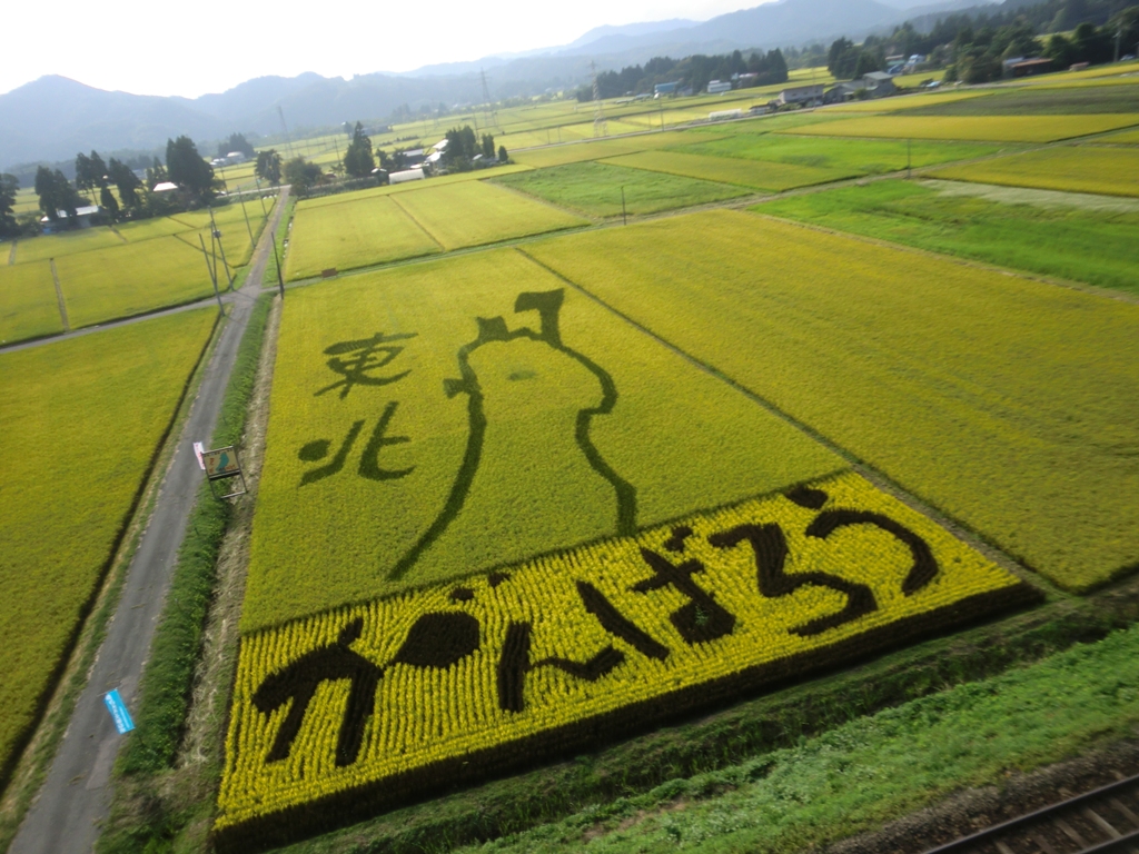 写真:「がんばろう東北」の田んぼアート