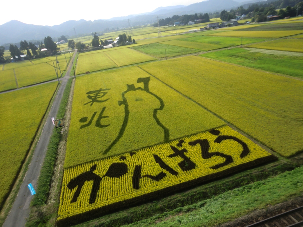 写真：「がんばろう東北」の田んぼアート