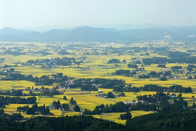 写真：大仙市