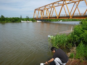 写真：７月１７日　馬踏川河口