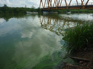写真：９月５日　馬踏川河口