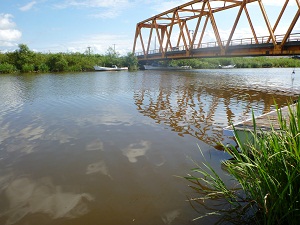写真：９月１２日　馬踏川河口