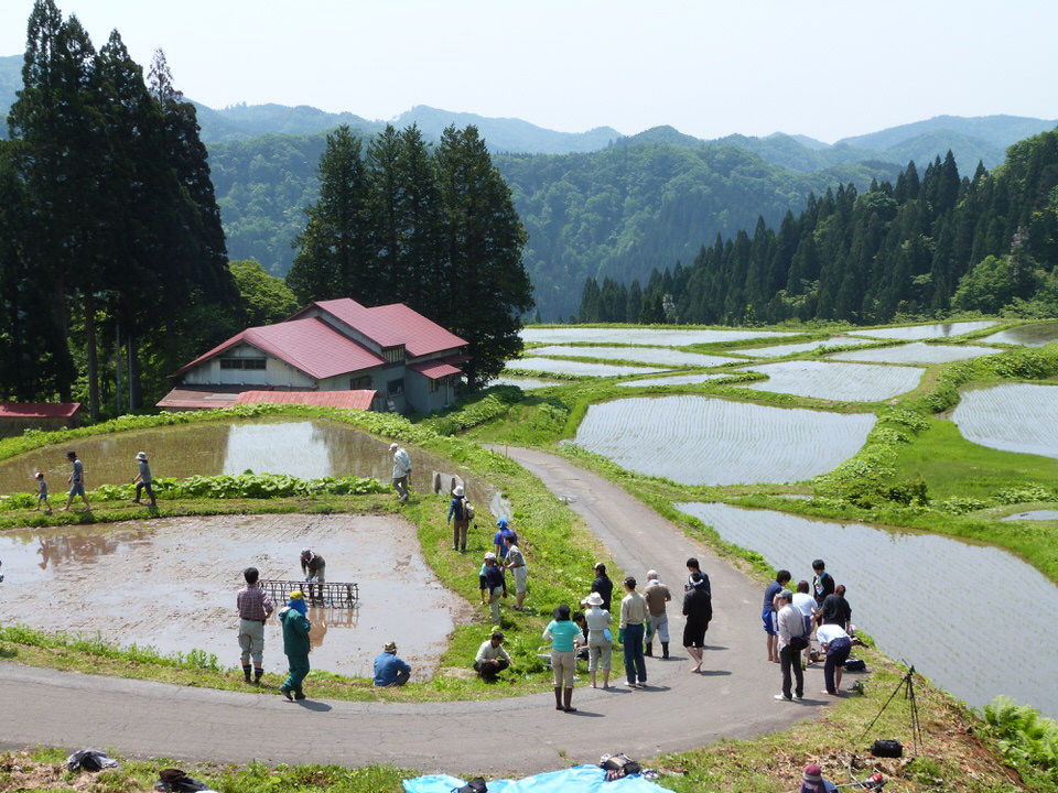 写真：藤里町横倉地区の様子1