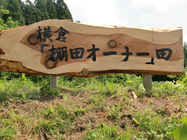 写真：藤里町横倉地区の様子2