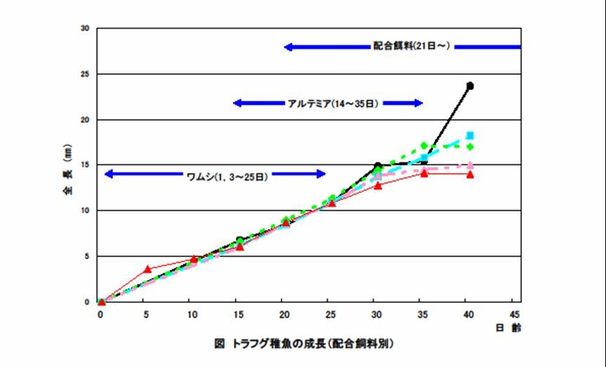 図：配合飼料別の稚魚の成長