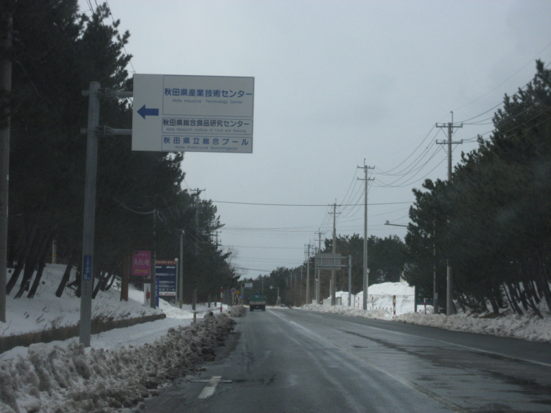 県立プール入口道路付近