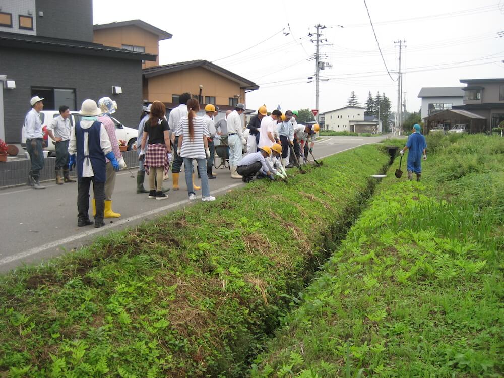 写真：球根植え作業の様子