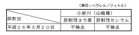 表:河川水