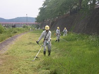 河川敷の除草作業中の写真