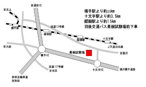 図：本場の地図