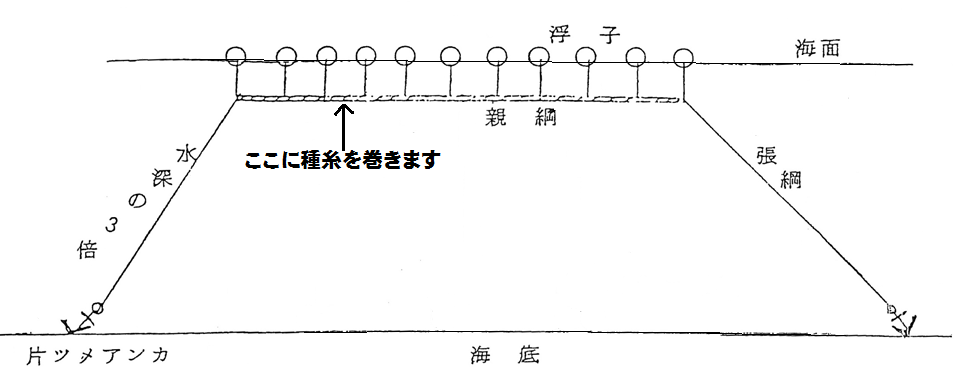 図:ワカメ養殖 模式図