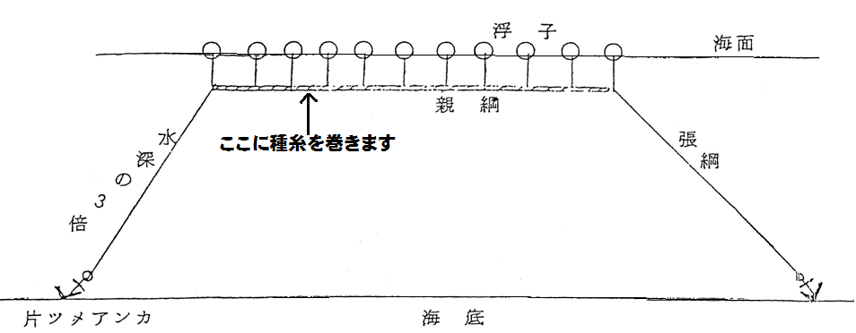 図：ワカメ養殖　模式図