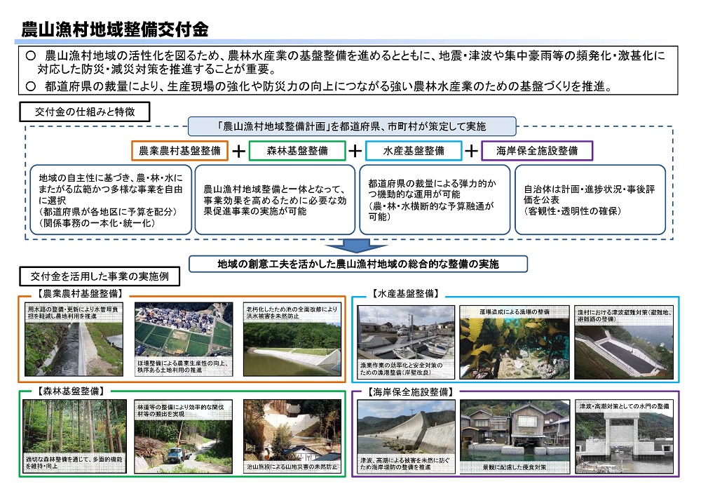 図:農山漁村地域整備交付金