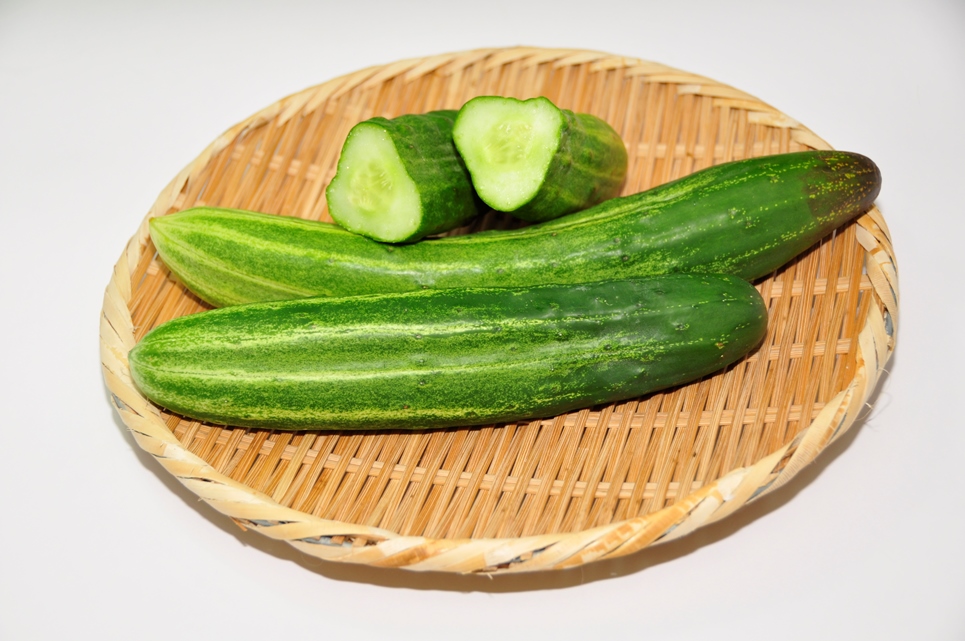 写真:小様きゅうり