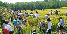 県央～その他