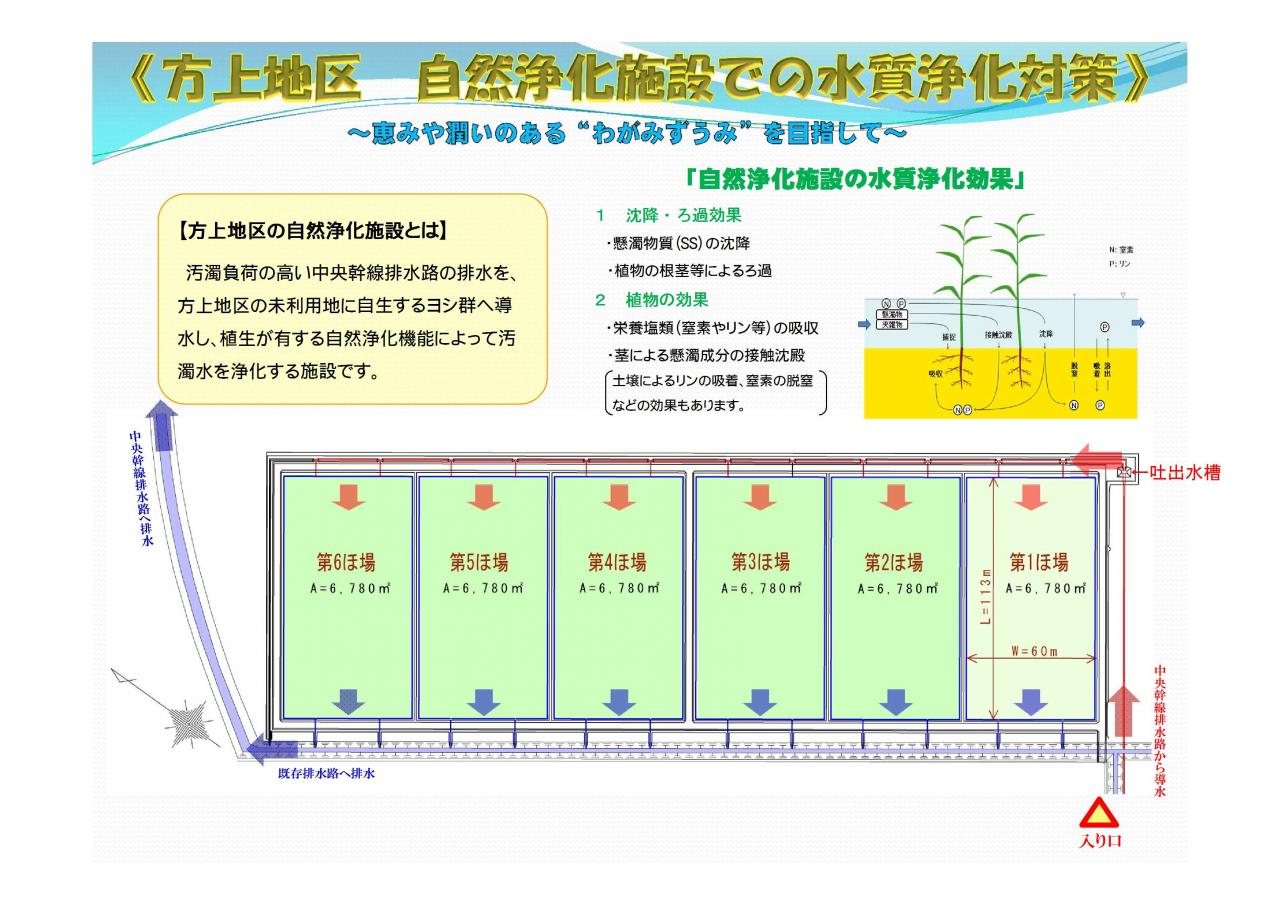 図：植生浄化概要図