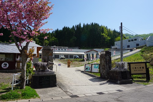 写真:阿仁熊牧場 くまくま園