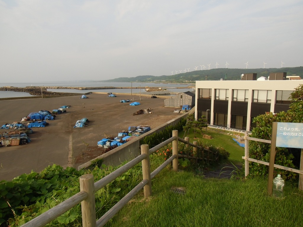写真:展望台から見た全体風景(清掃後)