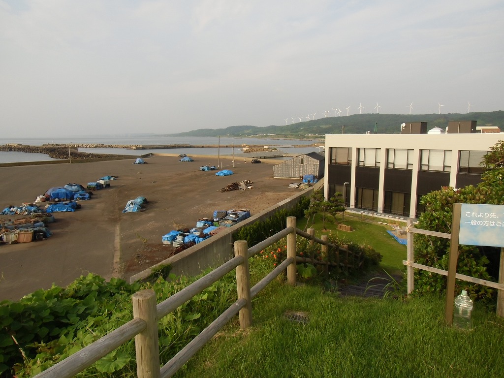 写真：展望台から見た全体風景（清掃後）