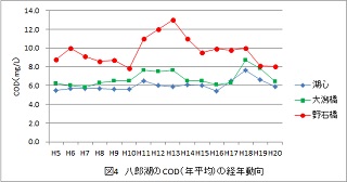 グラフ：COD経年変化