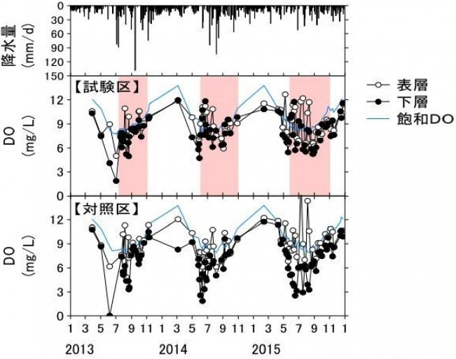 図：DO濃度