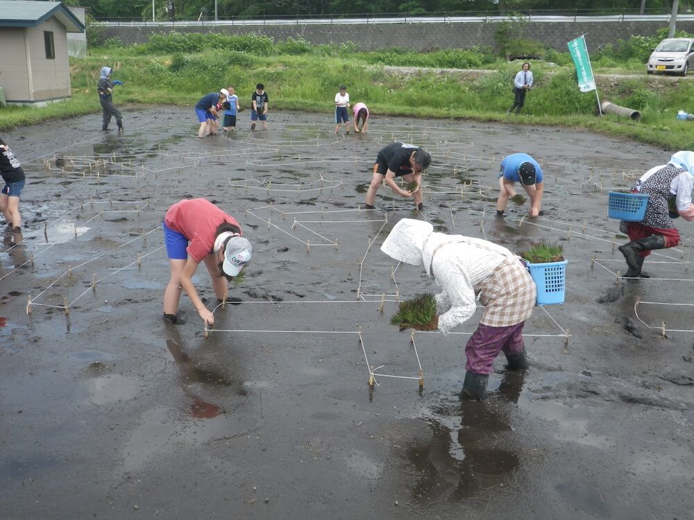 写真：田植えの様子1