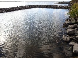 画像 : 牡丹川の状況19