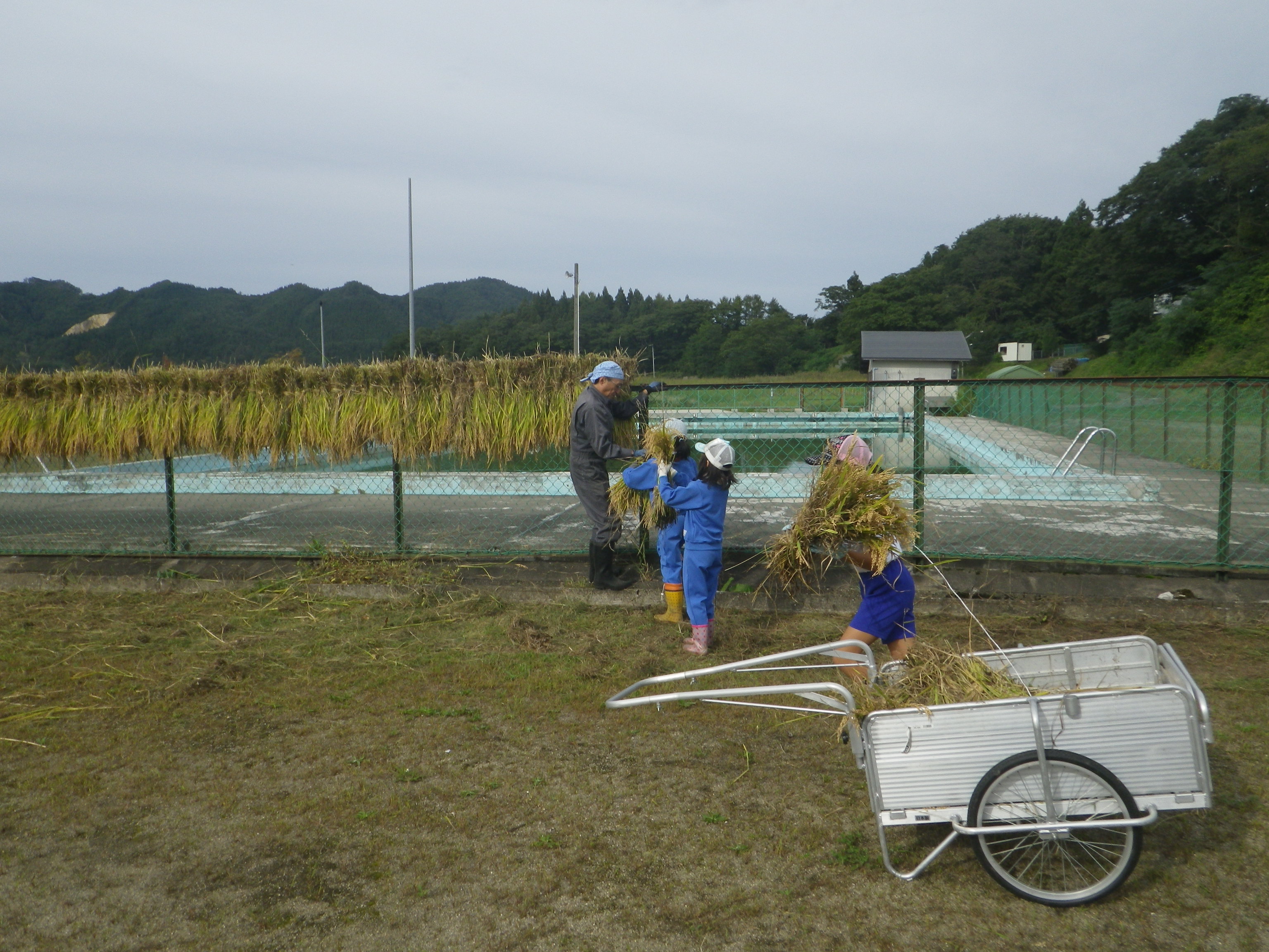 画像 : 役割分担して効率よく作業2