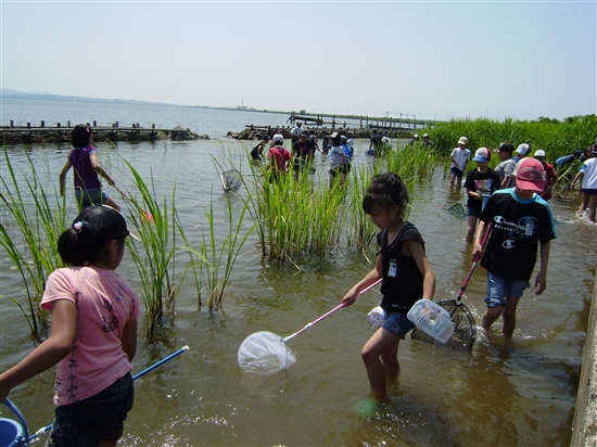 潟上市天王大崎の消波工内で水生生物調査をする子どもたち