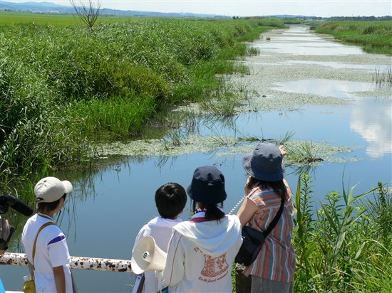 東部干拓地内の承水路