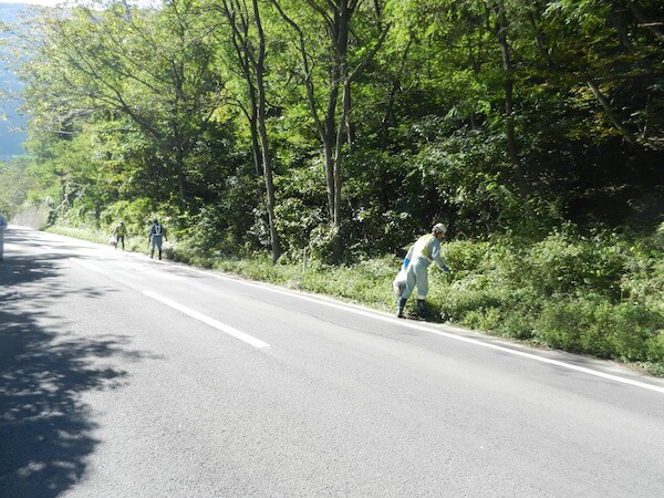 写真：路面のゴミ拾いの様子4