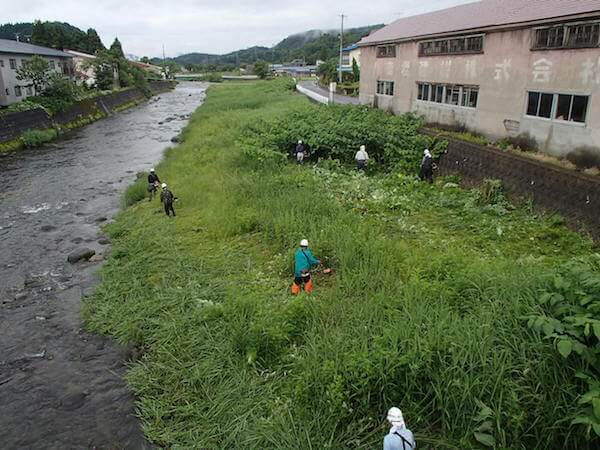 写真：河川の美化作業の様子2