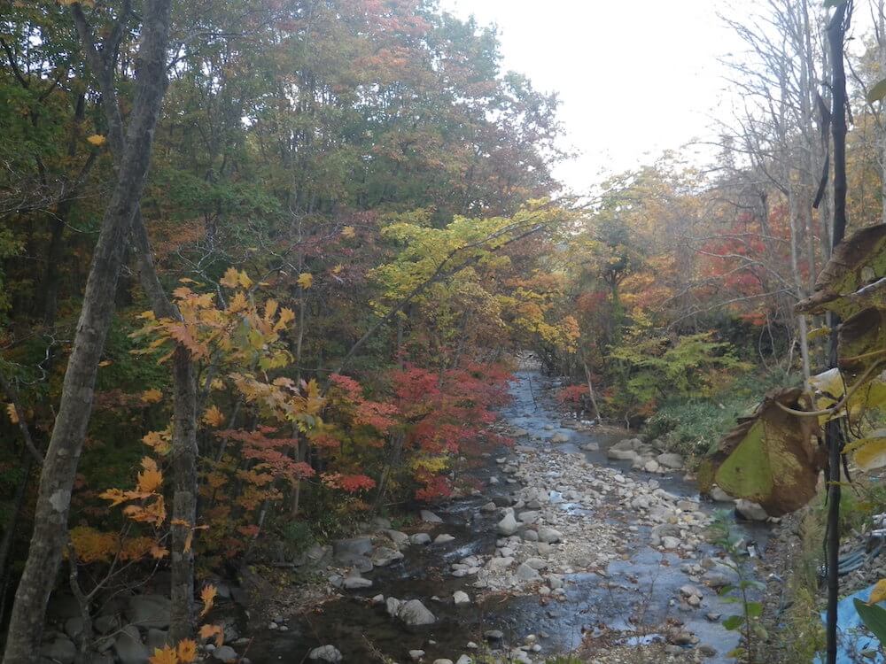 写真：十和田八幡平国立公園の渓流と紅葉