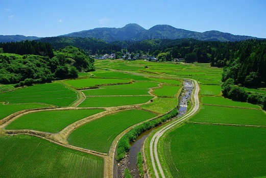 写真：里地里山