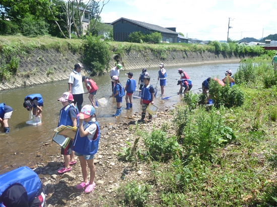 調査風景　森岳小学校