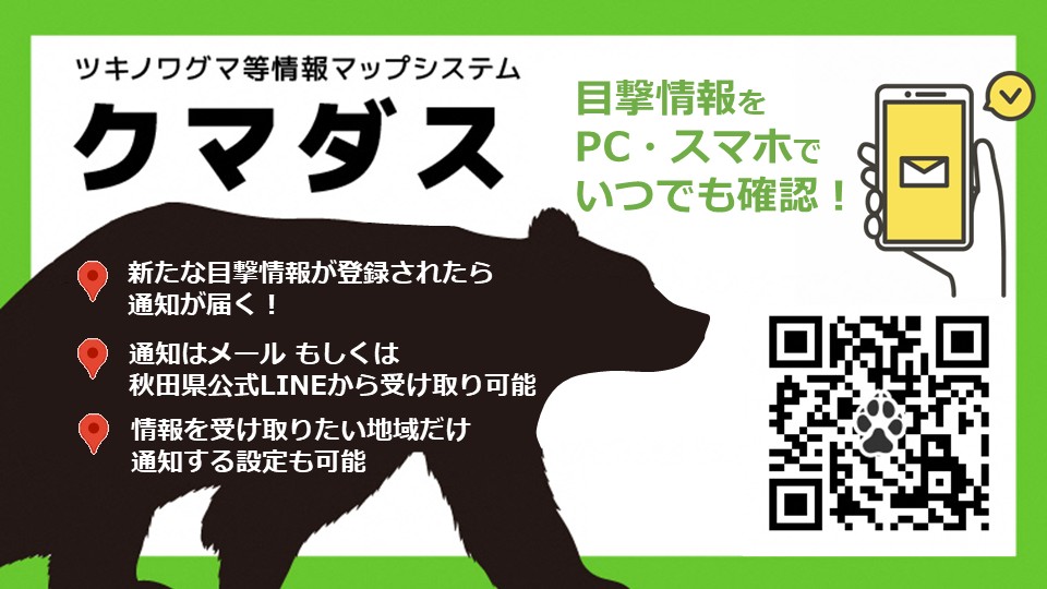 クマダスバナー