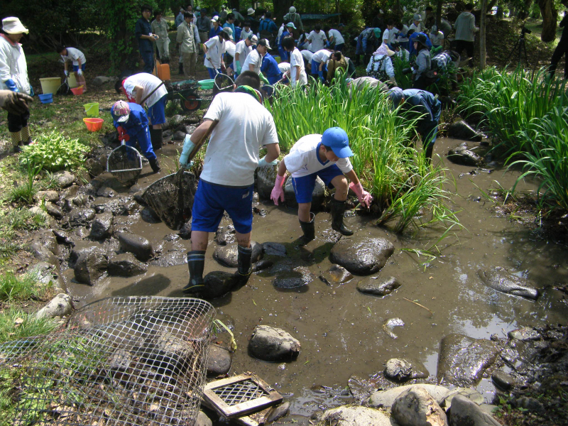 画像：千畑小学校ビオトープでの活動