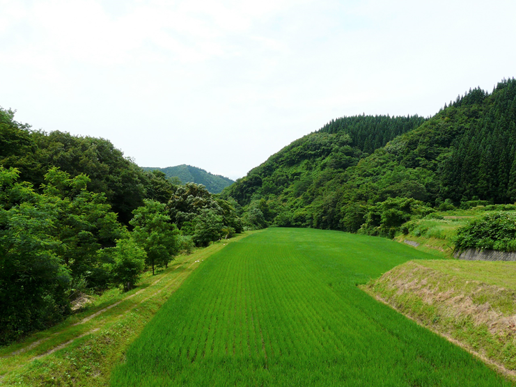 茂内屋敷地域　全景写真